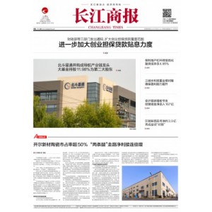 长江商报