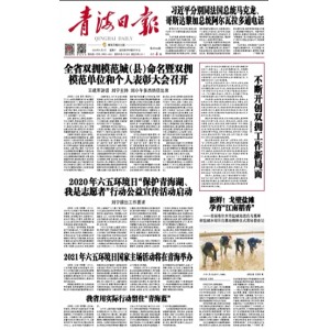 青海日报