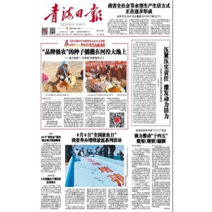 青海日报