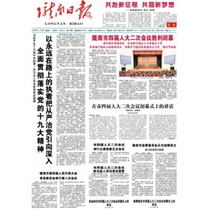 陇南日报