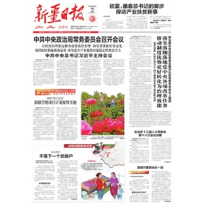 新疆日报(汉)