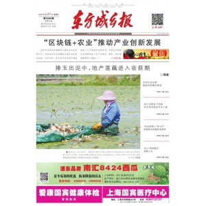 东方城乡报