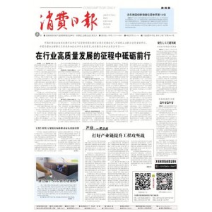 消费日报