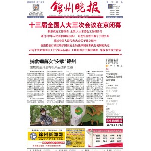 锦州晚报