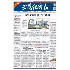 安徽经济报