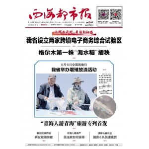 西海都市报