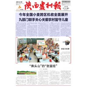 陕西农村报