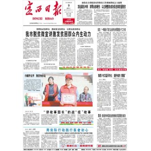 定西日报