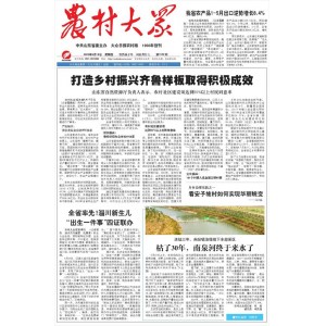 农村大众
