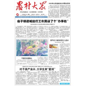 农村大众