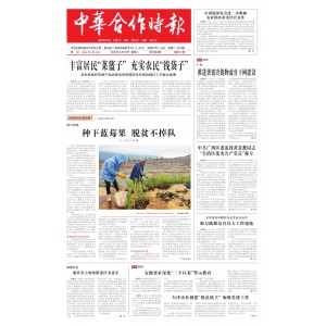 中华合作时报