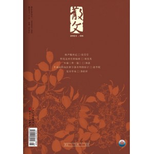 散文