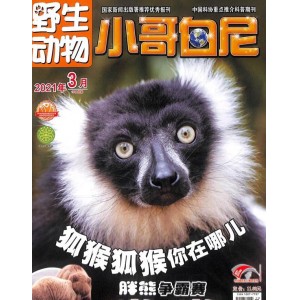 小哥白尼野生动物画报