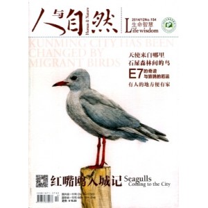 人与自然